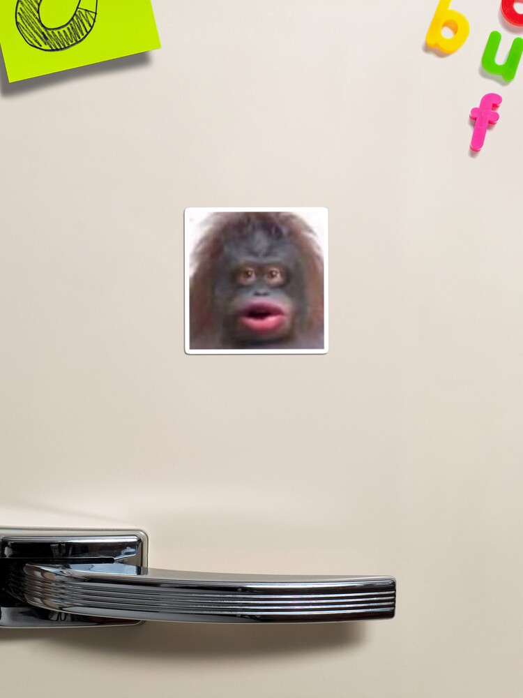 uh oh stinky poopy monkey face Greeting Card for Sale by LAST WEEK'S  STOLEN AESTHETICS