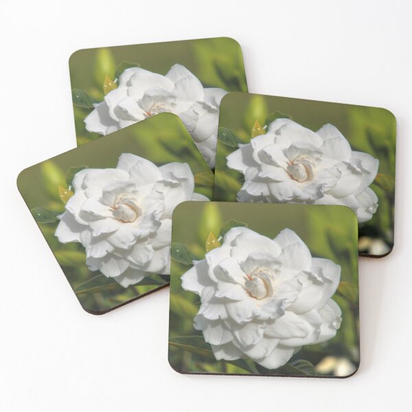 Item preview, Gardenia designed and sold by zumi.
