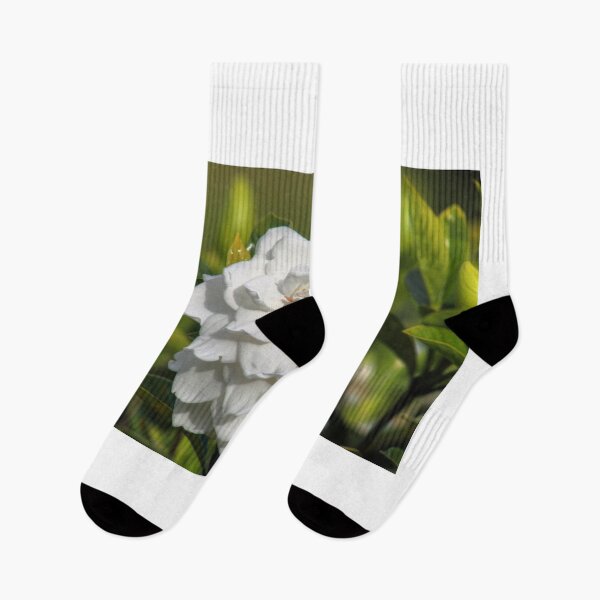 Item preview, Gardenia designed and sold by zumi.