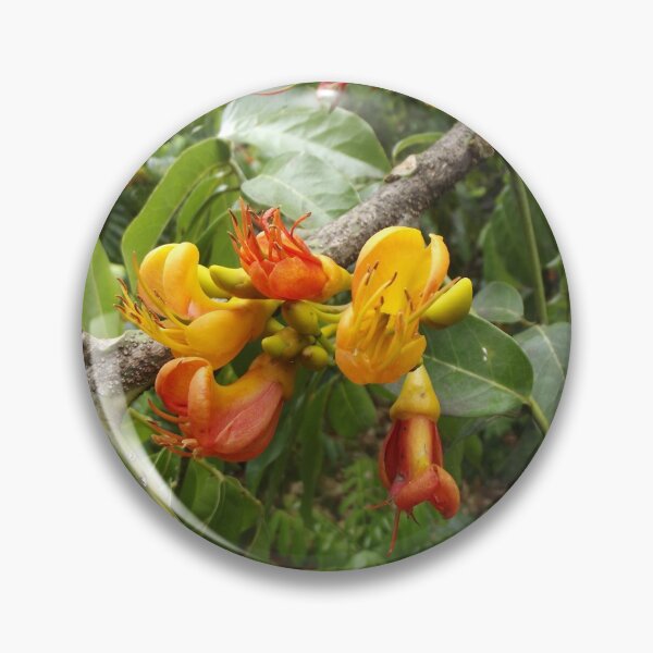 Item preview, Black bean tree flowers designed and sold by greentiger1.