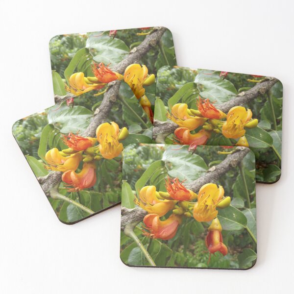 Item preview, Black bean tree flowers designed and sold by greentiger1.
