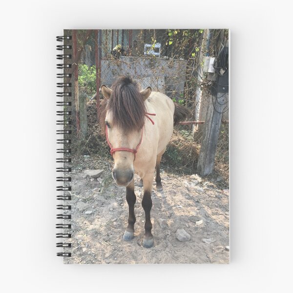 Item preview, Buckskin Pony designed and sold by Willis Turner.