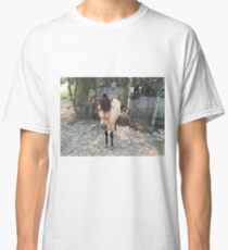 Buckskin Pony Classic T-Shirt