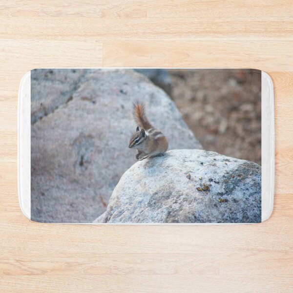 Item preview, Curious chipmunk designed and sold by zumi.