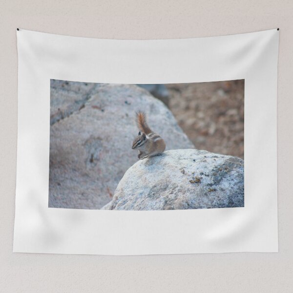 Item preview, Curious chipmunk designed and sold by zumi.