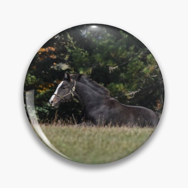 Item preview, Foal designed and sold by theartsyeq.