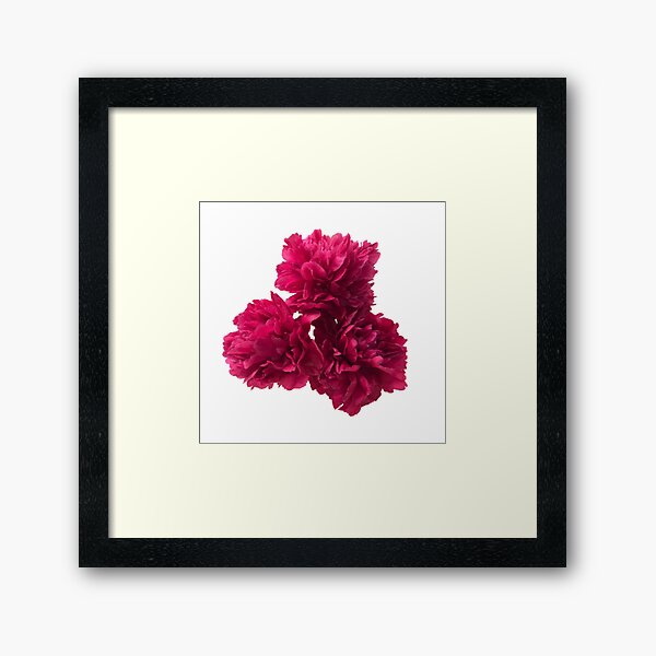 Item preview, Hot Pink Peonies in Full Bloom Close-up designed and sold by InalterataArt.