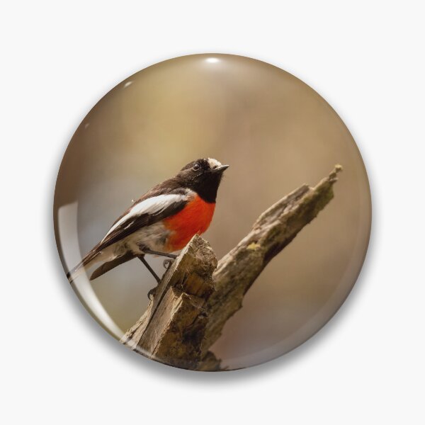 Item preview, Scarlet Robin (male) designed and sold by SusanAdey.