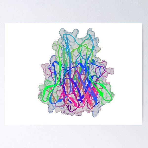 Item preview, Tumor Necrosis Factor α (TNFα) designed and sold by 3D Biology.