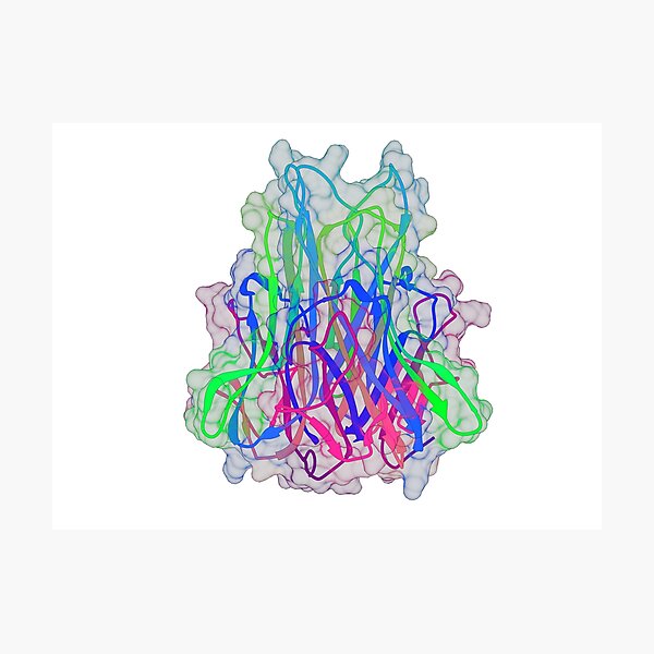 Item preview, Tumor Necrosis Factor α (TNFα) designed and sold by 3D Biology.