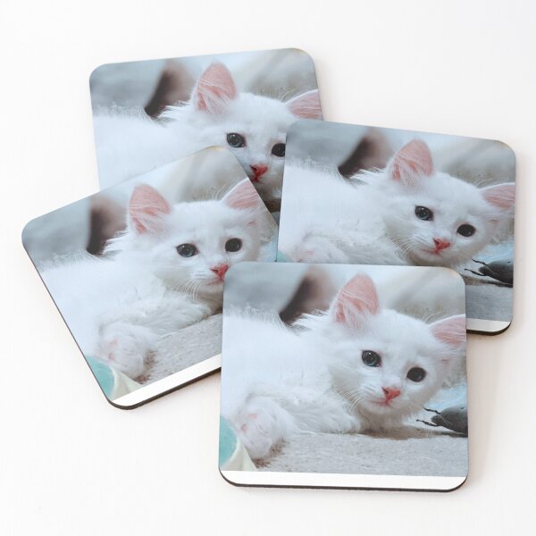 Item preview, Fluffy white kitten designed and sold by Fluffycat2020.