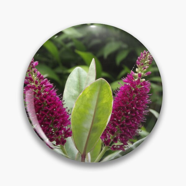 Item preview, Hebe flowers designed and sold by greentiger1.