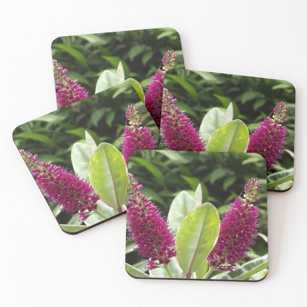 Item preview, Hebe flowers designed and sold by greentiger1.