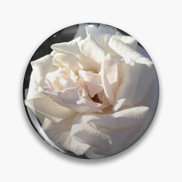 Artikelvorschau, Weiße Rose mit Sonnenschein und Schwarzweiss-Hintergrund entworfen und verkauft von RichardDLC.