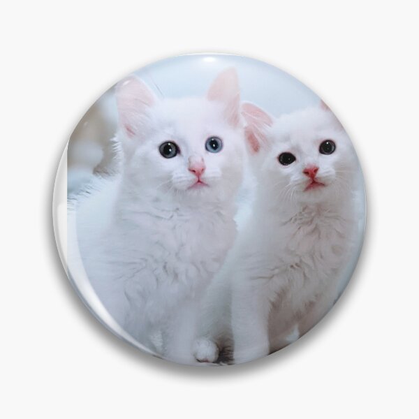 Item preview, Fluffy white kitten twins designed and sold by Fluffycat2020.