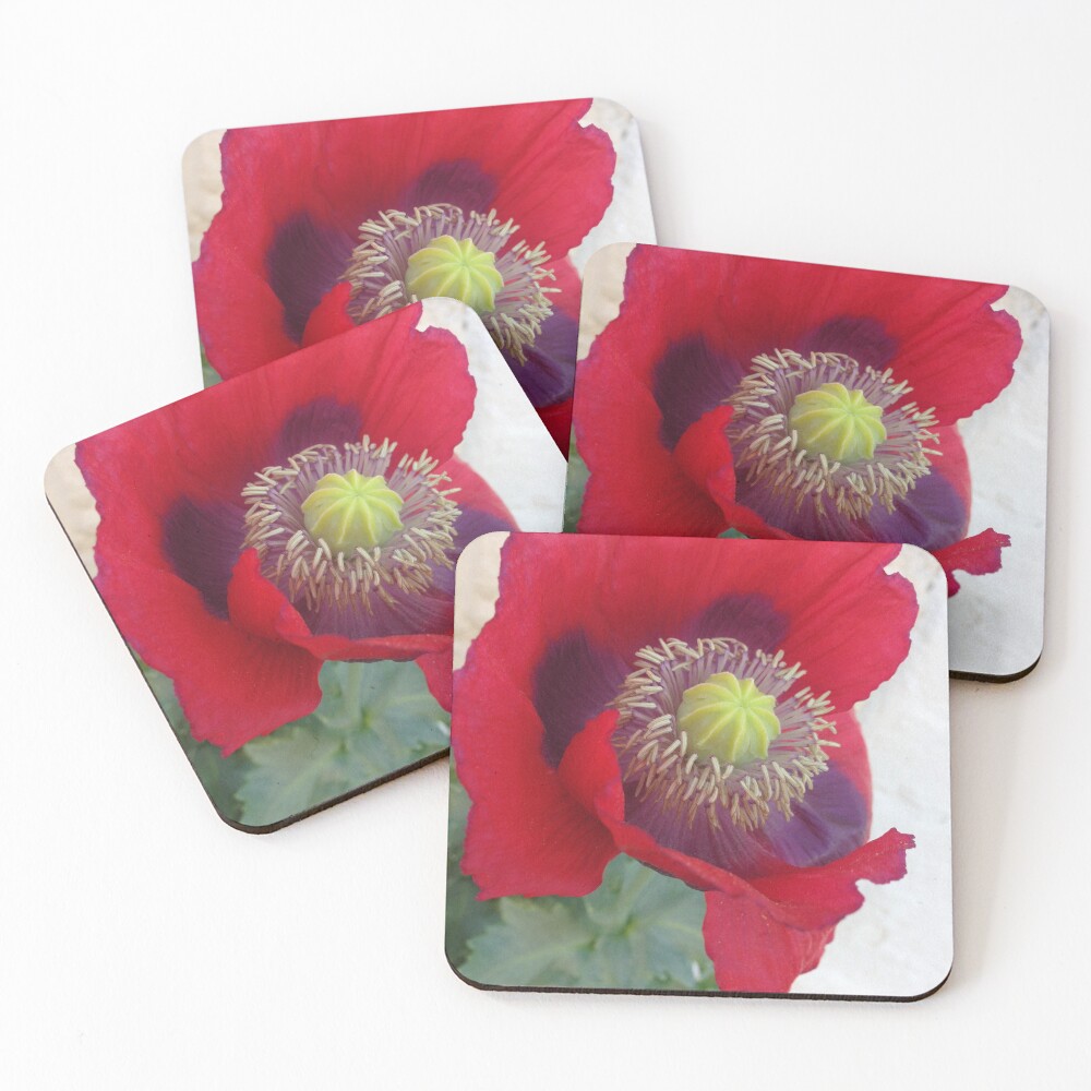 Item preview, Coasters (Set of 4) designed and sold by creatormony.