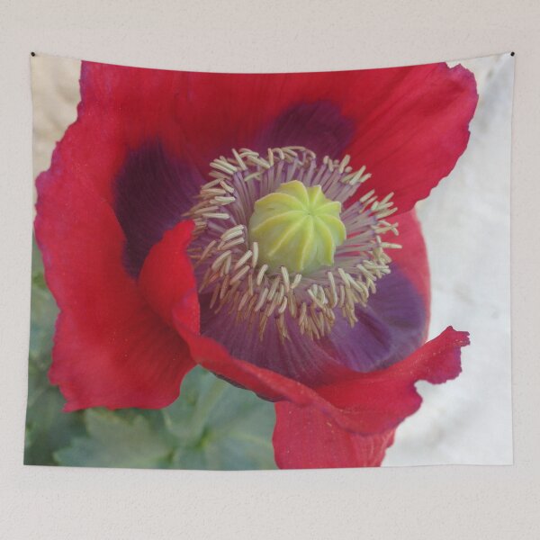 Item preview, Poppy  designed and sold by skymoni.
