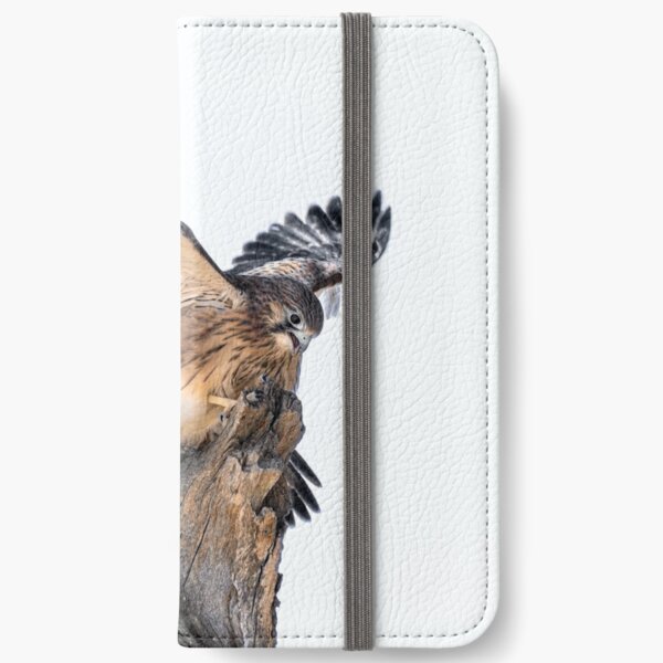 Hullabaloo iPhone Wallet