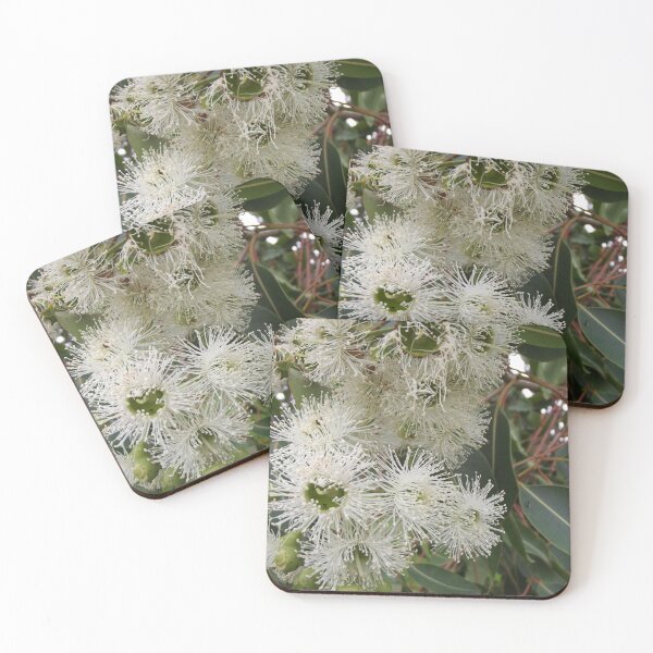 Item preview, White gumtree flowers designed and sold by greentiger1.