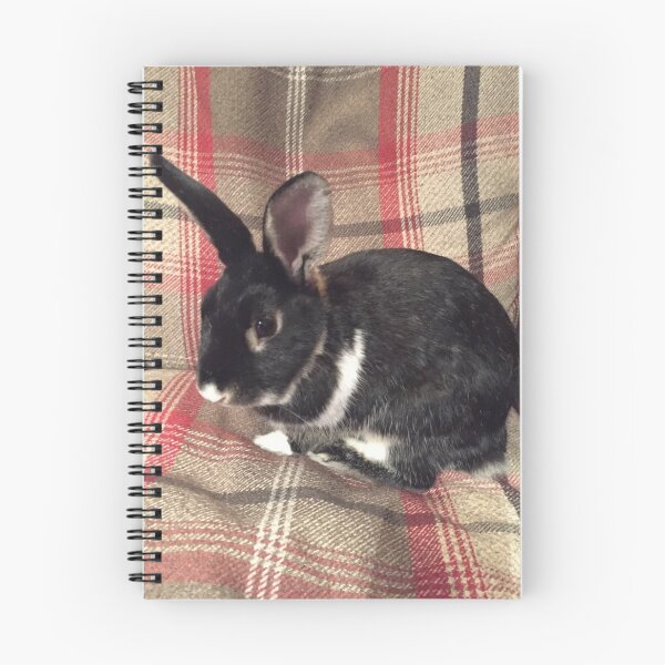 Item preview, Tartan Easter Baby Bunny Rabbit designed and sold by Bucklandcrafts.