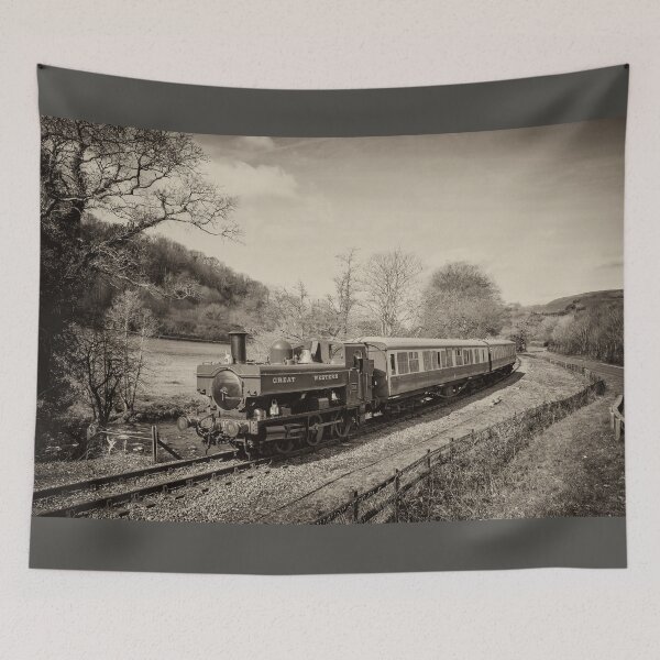 Item preview, Dart Valley Steam  designed and sold by hawkie.