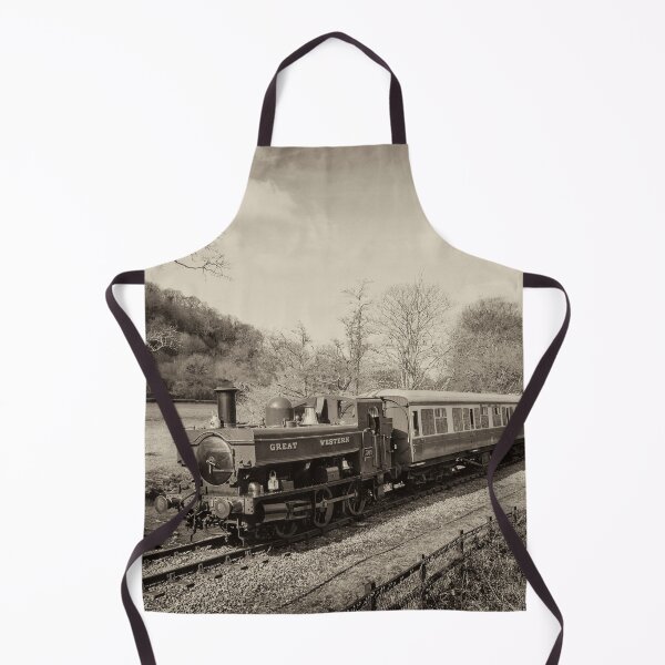 Item preview, Dart Valley Steam designed and sold by hawkie.