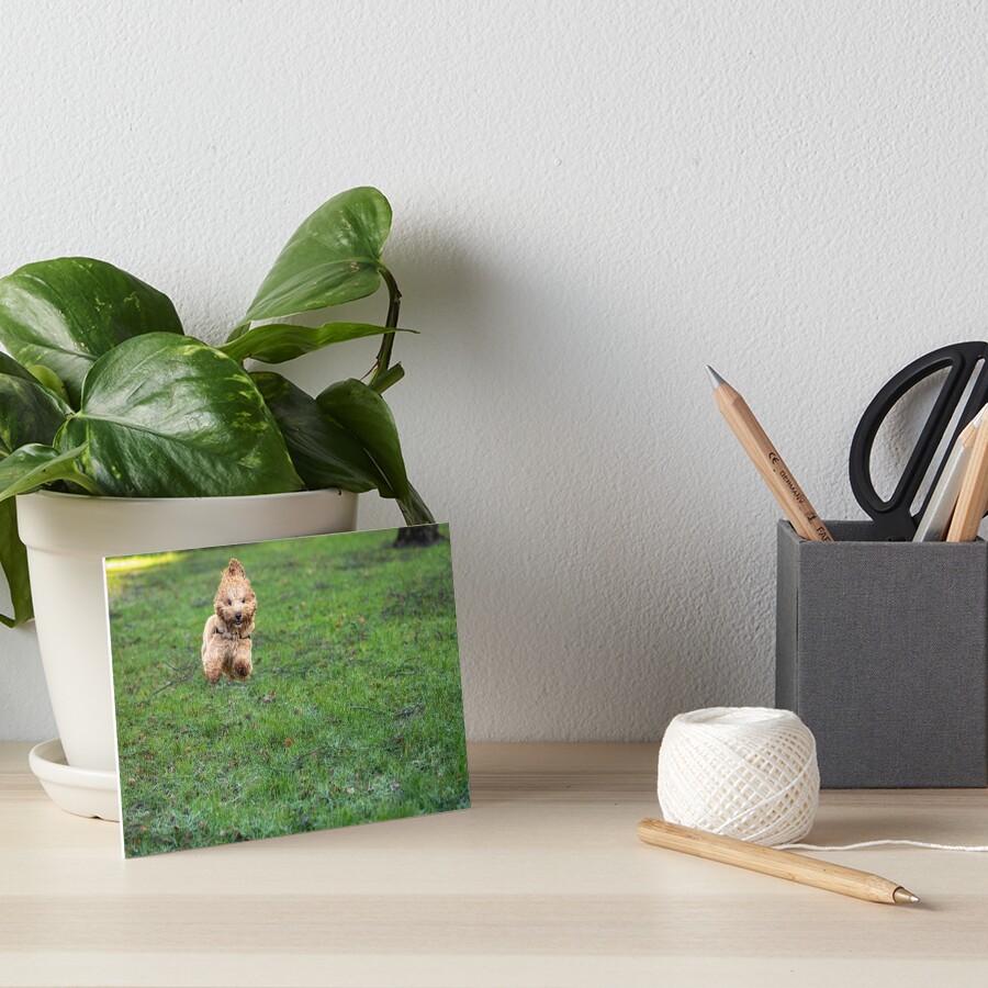 Item preview, Art Board Print designed and sold by AYatesPhoto.