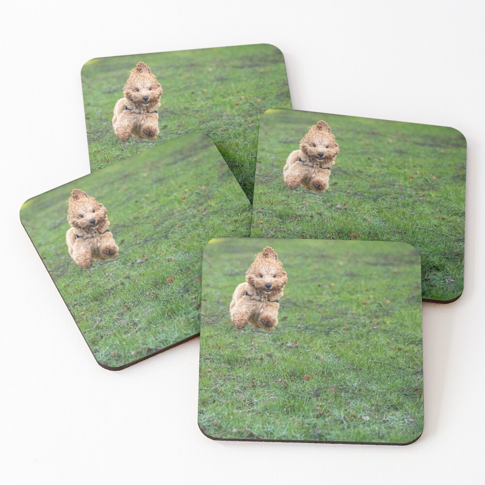 Item preview, Coasters (Set of 4) designed and sold by AYatesPhoto.