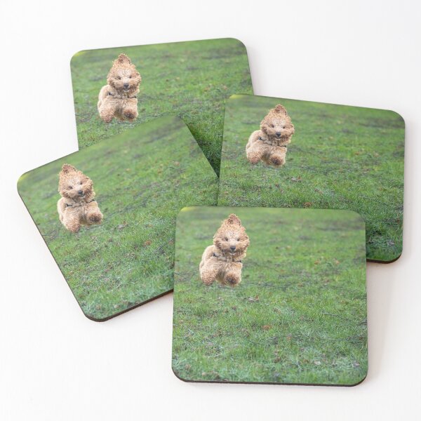 Item preview, Cavapoo joy designed and sold by AYatesPhoto.