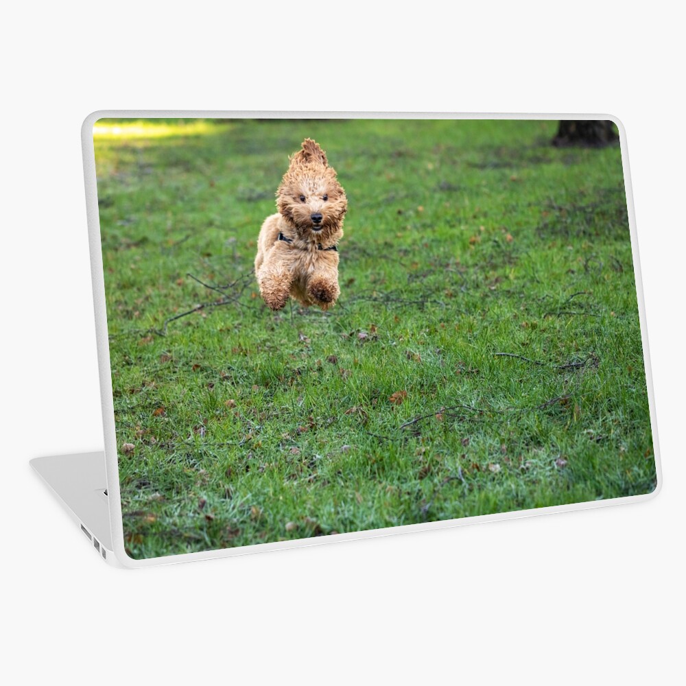 Item preview, Laptop Skin designed and sold by AYatesPhoto.