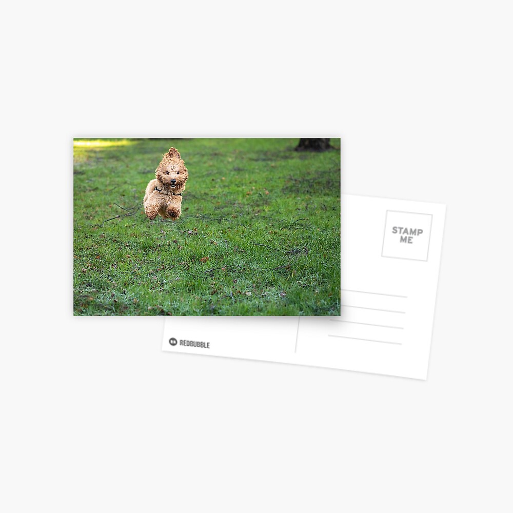 Item preview, Postcard designed and sold by AYatesPhoto.
