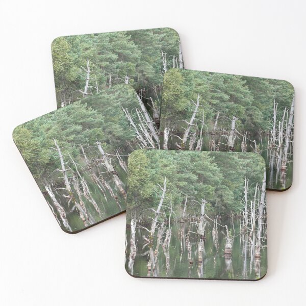 Item preview, Pietzmoor, Schneverdingen, Lueneburg Heath, Lower Saxony, Germany designed and sold by Torsten  Krüger.