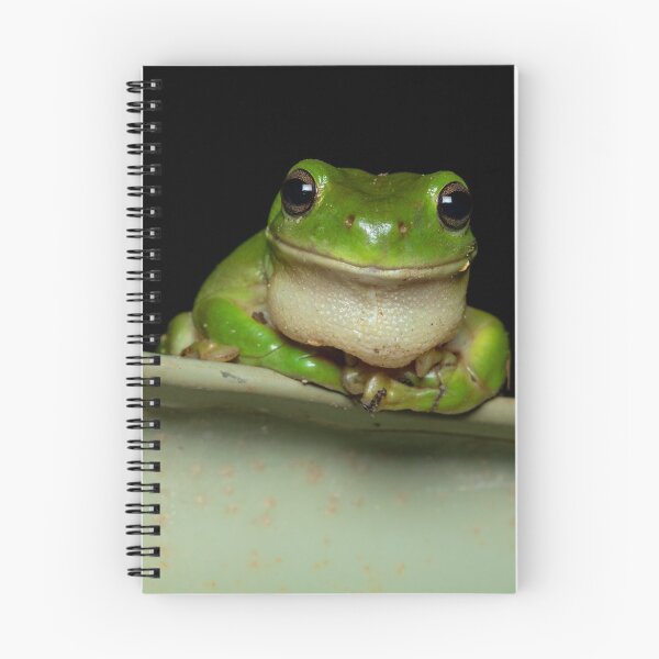 Item preview, Green Tree Frog (Litoria caerulea) - hello there designed and sold by Trent Townsend.