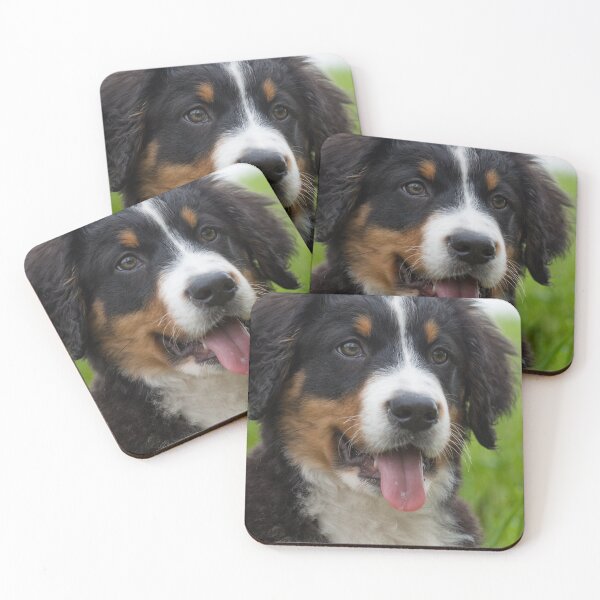 Item preview, Young Bernese Mountain Dog designed and sold by Ingo Gerlach.