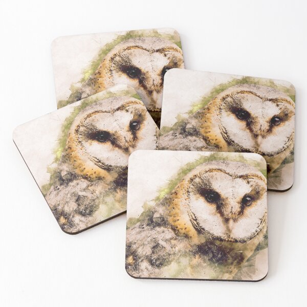 Item preview, Barn Owl Portrait designed and sold by solrevolver.