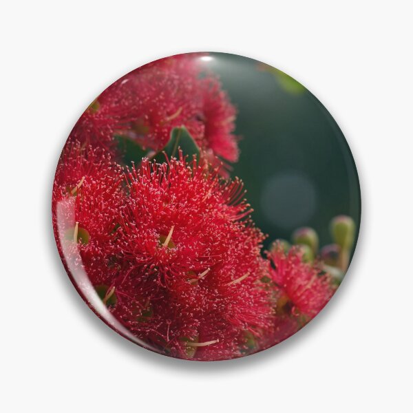 Item preview, Red Flowering Gum Blossoms 2 designed and sold by Cloudlingpics.