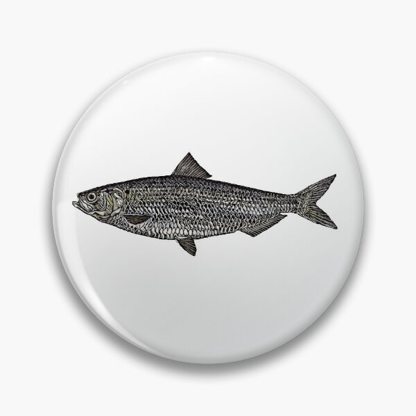 Item preview, Blueback Herring Illustration designed and sold by ranker666.