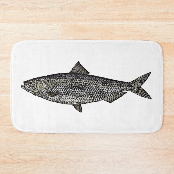 Item preview, Blueback Herring Illustration designed and sold by ranker666.
