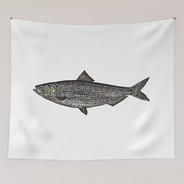 Item preview, Blueback Herring Illustration designed and sold by ranker666.