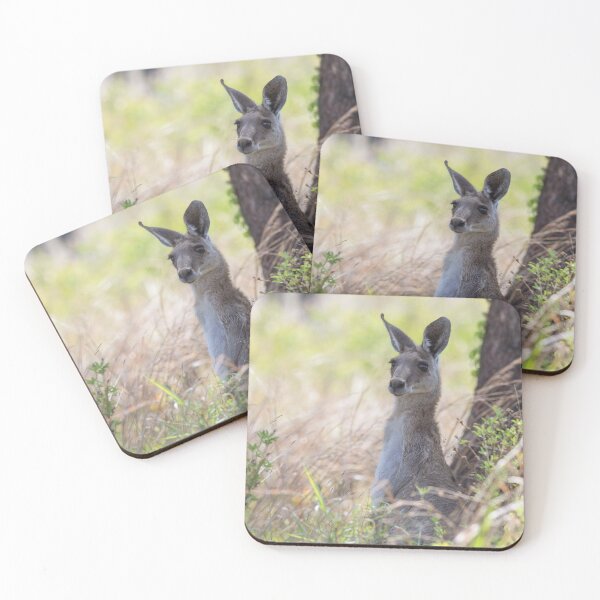 Item preview, Eastern Grey Kangaroo (Macropus giganteus) designed and sold by Trent Townsend.