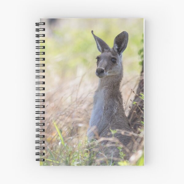 Item preview, Eastern Grey Kangaroo (Macropus giganteus) designed and sold by Trent Townsend.