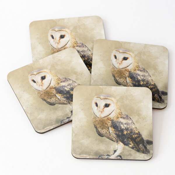 Item preview, Barn Owl Portrait designed and sold by solrevolver.