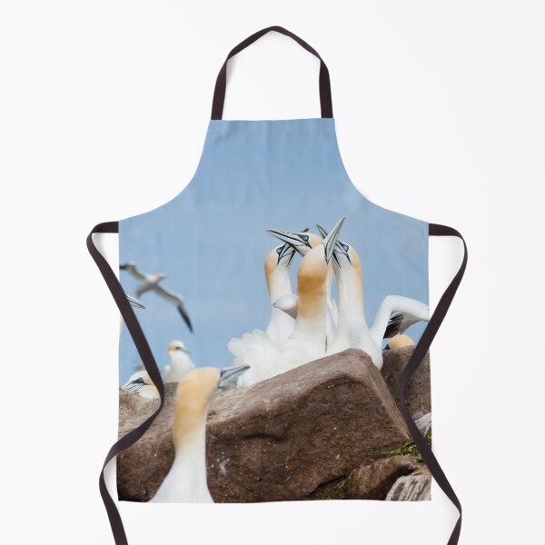 Item preview, Gannets greeting, Saltee Island, County Wexford, Ireland designed and sold by AndrewJonesFoto.