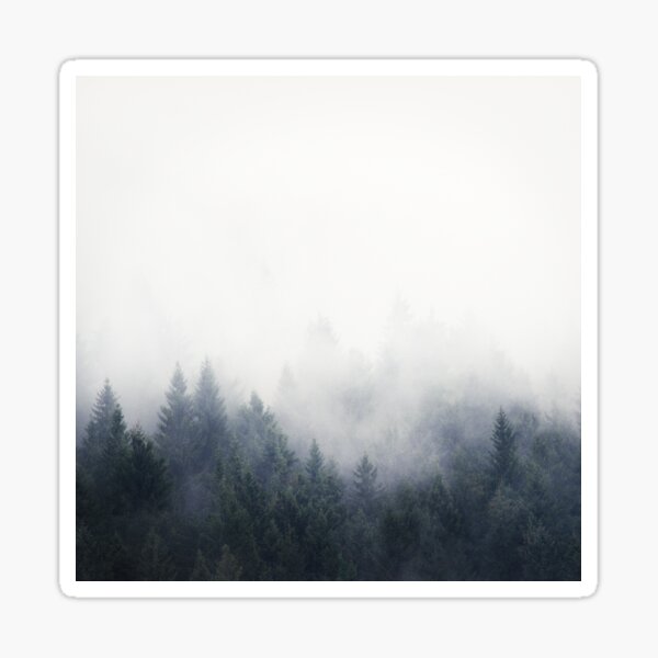Item preview, I Don't Give A Fog //  Misty Landscape Autumn Wilderness Forest Waves With Cascadia Trees Covered In Magic Light designed and sold by Tordis Kayma.