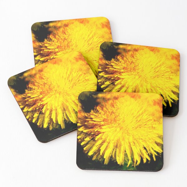 Item preview, Dandelion blossom, abstract, macro shot, dandelion, flower designed and sold by Torsten  Krüger.