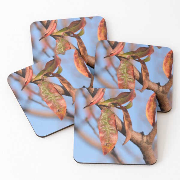 Item preview, Mango Leaves designed and sold by DanaLauraPhoto.