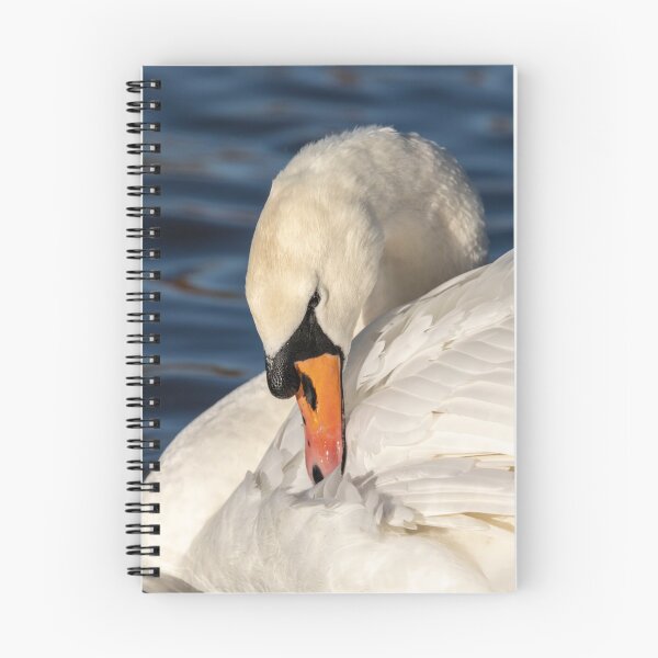 Item preview, Graceful swan preening designed and sold by AYatesPhoto.