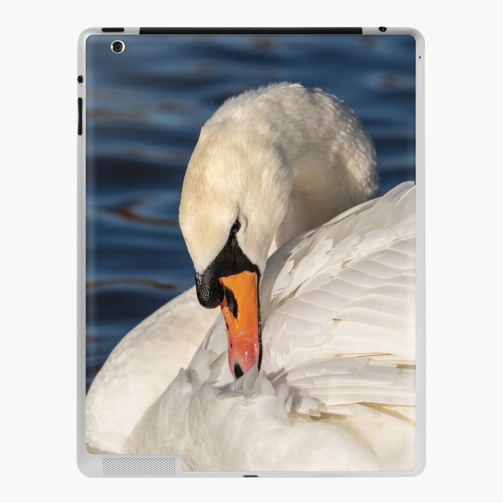 Item preview, iPad Skin designed and sold by AYatesPhoto.
