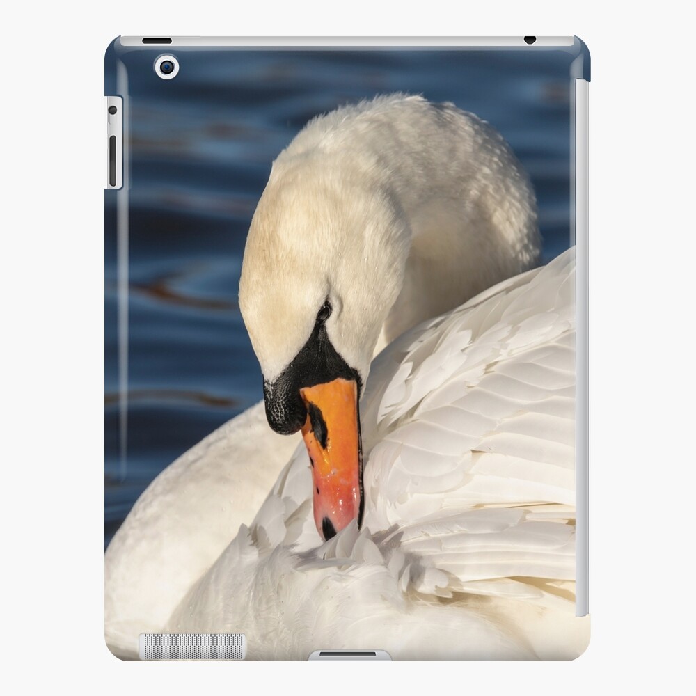 Item preview, iPad Snap Case designed and sold by AYatesPhoto.