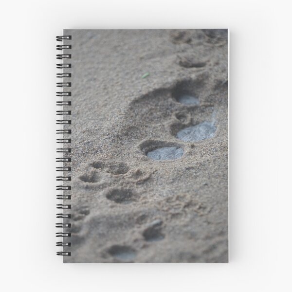 Item preview, Sandy Tracks designed and sold by BenjaminMartin.